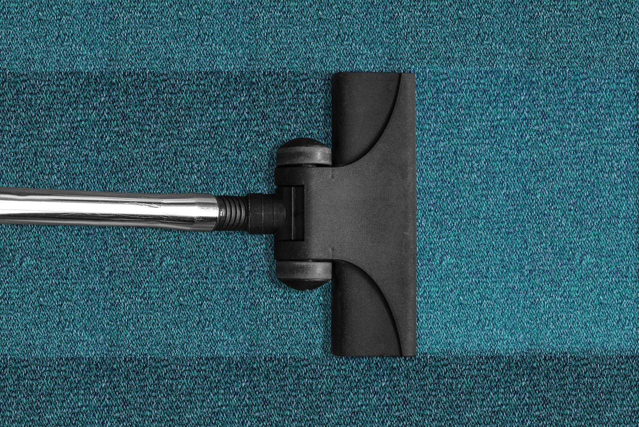 vacuum cleaner, vacuuming, cleaning, cleanup, carpet