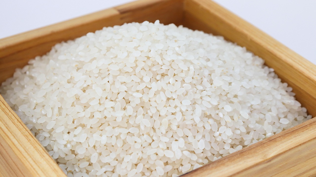 rice, white rice, korea, food, harvesting